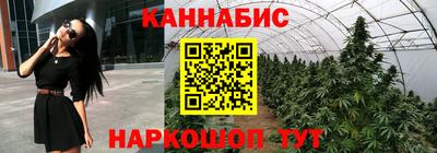 PSILOCYBIN Ливны