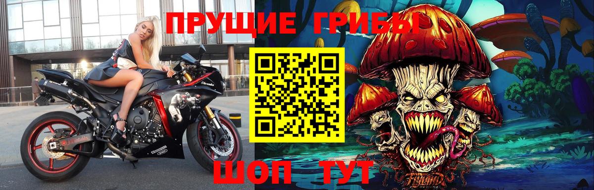 Галлюциногенные грибы ЛСД  Вход с VPN  Шебекино 